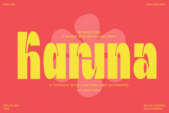 Karuna: A Bold Sans Serif Typeface for Digital Impact