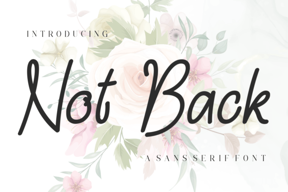 Not Back Font Review: Elegant Sans Serif for Branding