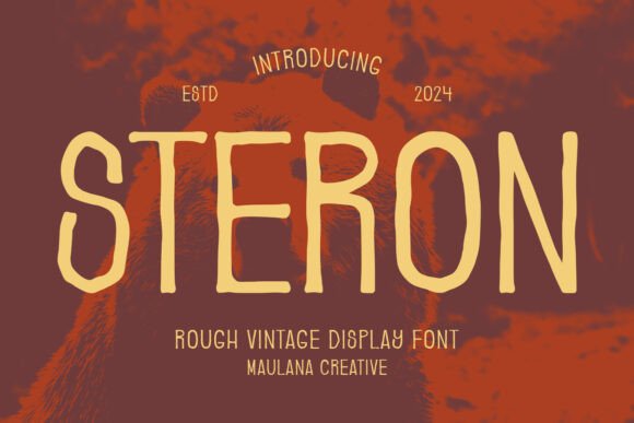 Steron: A Bold Vintage Sans Serif Typeface for Web Design