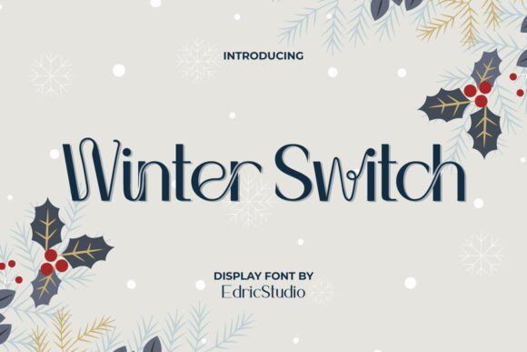 Winter Switch Font for Modern Web Design